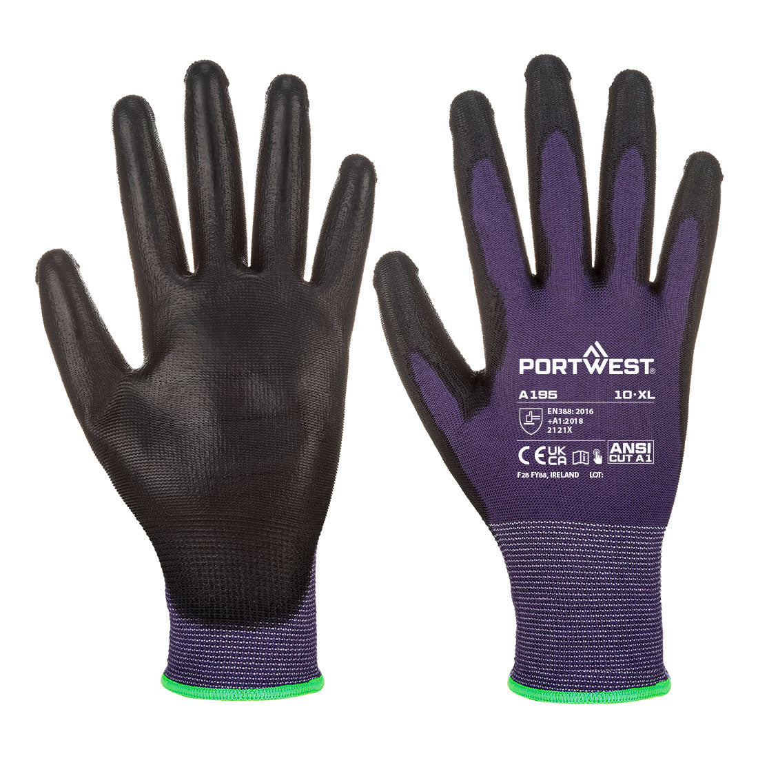 Purple/Black