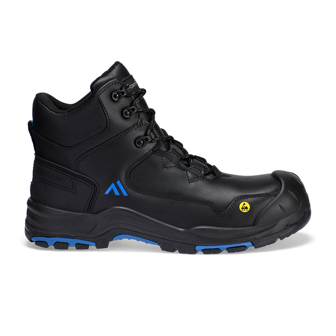 Black/Blue