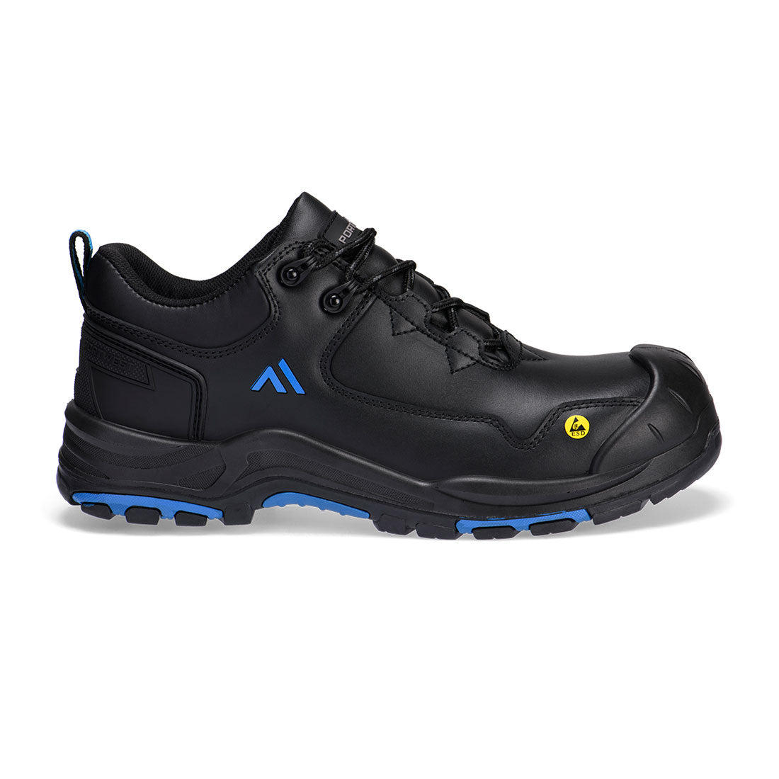 Black/Blue