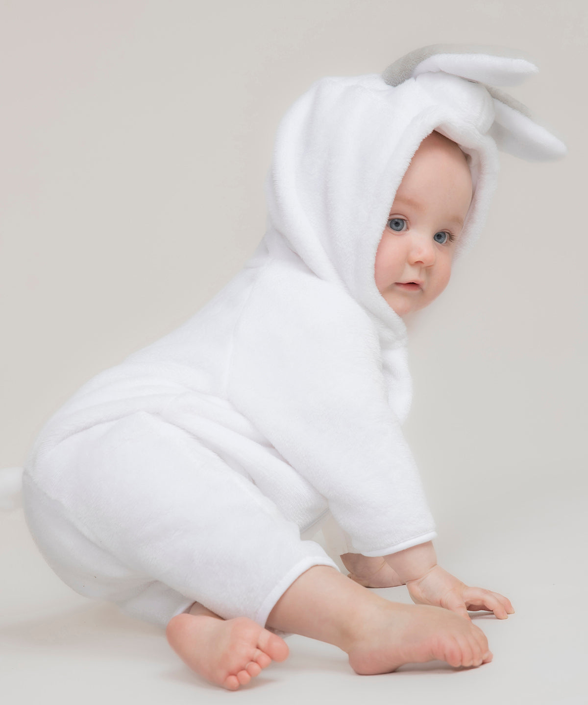 Rabbit all-in-one 
